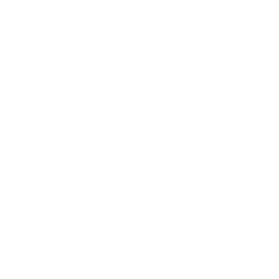 Our Partners